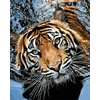 Kép 3/7 - Tigris (3 festmény egy csomagban) INGYENES szállítással!