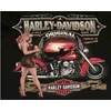 Kép 1/6 - Harley Davidson (50x40 cm)