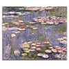Kép 1/6 - Tavirózsák Monet-stílusban (50x40 cm)
