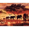 Kép 1/6 - Afrika (50x40cm)
