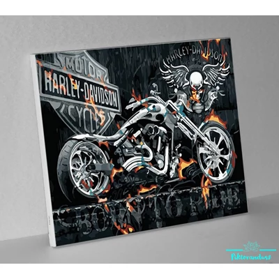 Born to ride (50x40 cm)