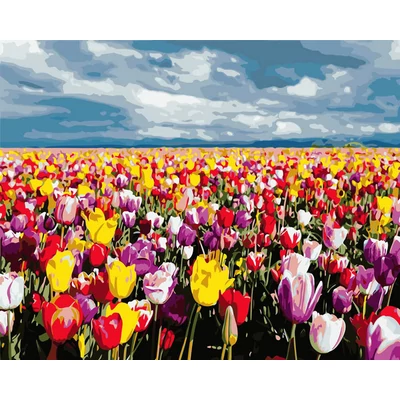 Tulipános rét  - SZÁMFESTŐ (50x40 cm)