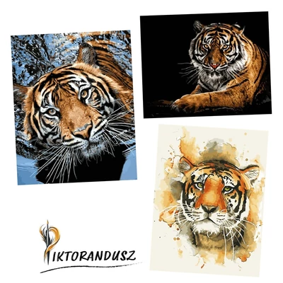 Tigris (3 festmény egy csomagban) INGYENES szállítással!