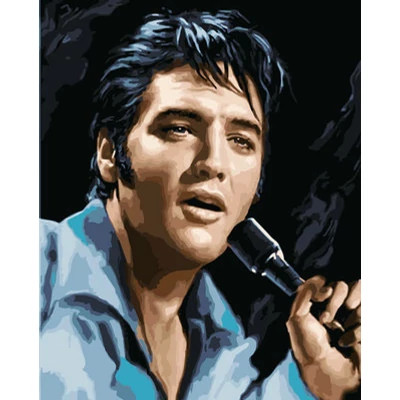 Elvis Presley - SZÁMFESTŐ (40x50 cm)