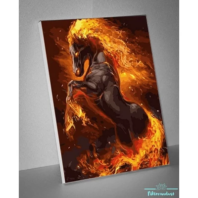 Szilaj tűz (40x50 cm)