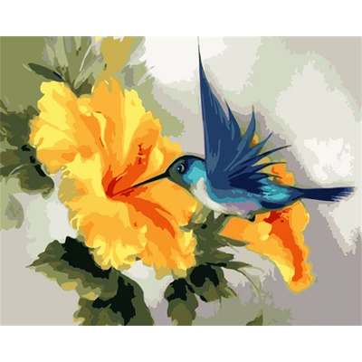 Kolibri  - SZÁMFESTŐ (50x40 cm)