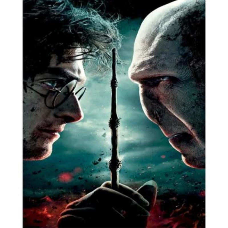 Harry & Voldemort (40x50 cm)