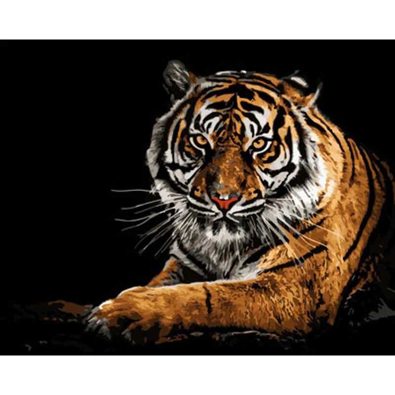 Tigris (3 festmény egy csomagban) INGYENES szállítással!