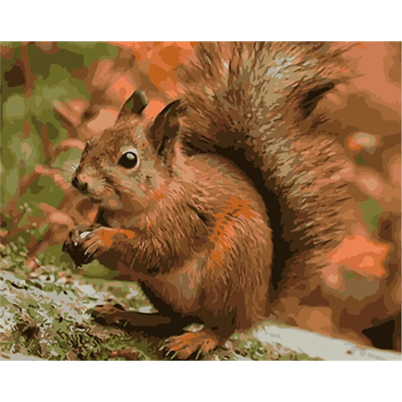 Mókus - SZÁMFESTŐ (50x40 cm)