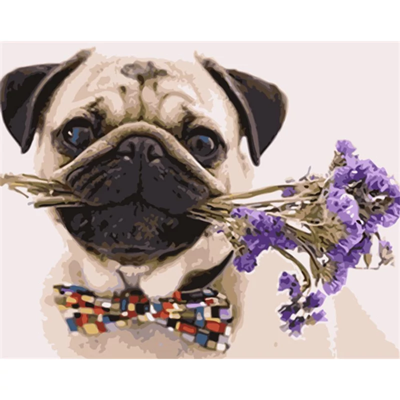 Mopsz (50x40 cm)