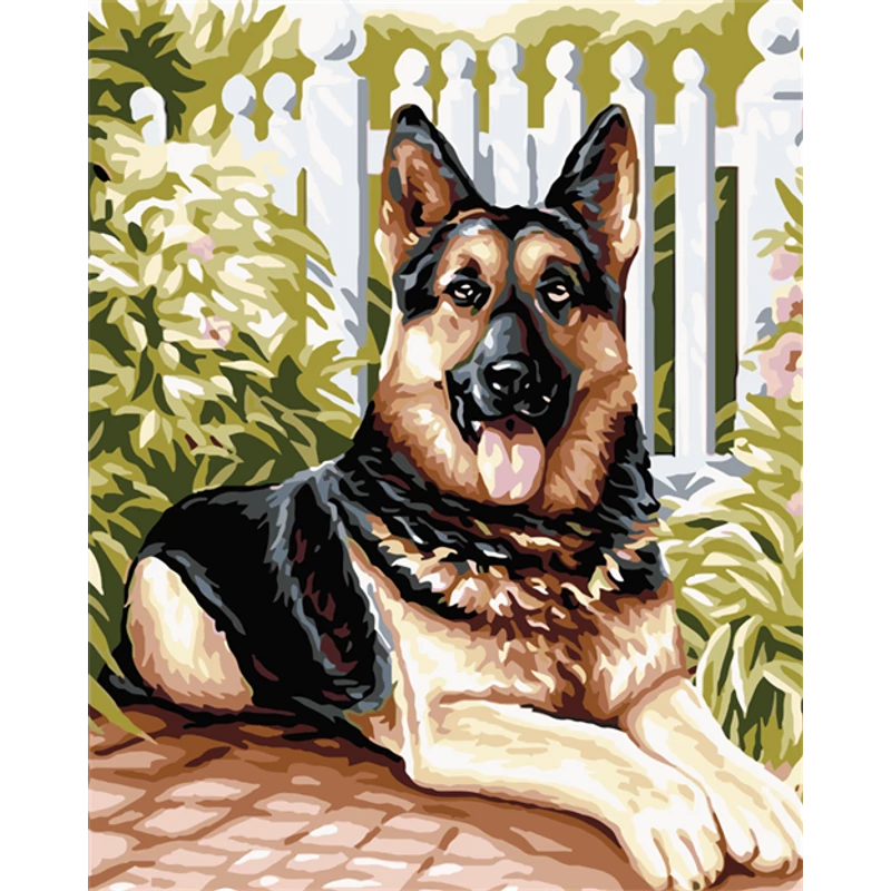 Rex (40x50 cm)