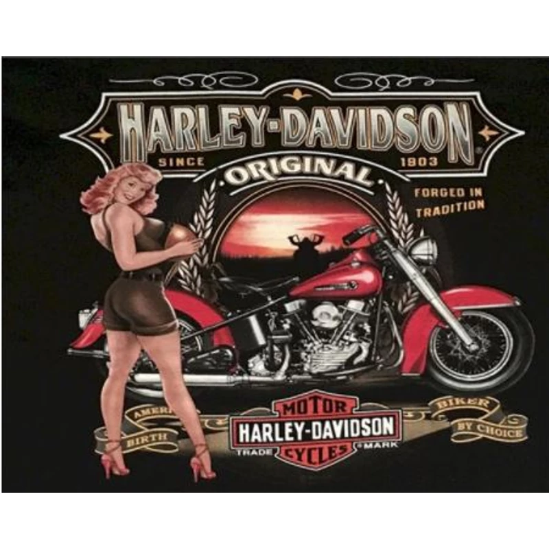 Harley Davidson (50x40 cm)