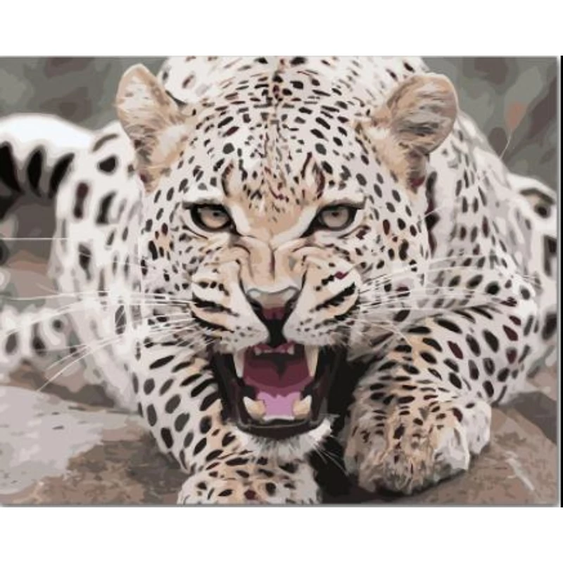 Jaguár (50x40 cm)