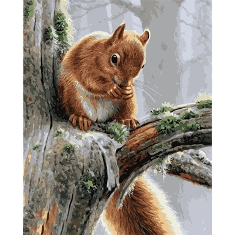 Mókus (40x50 cm)